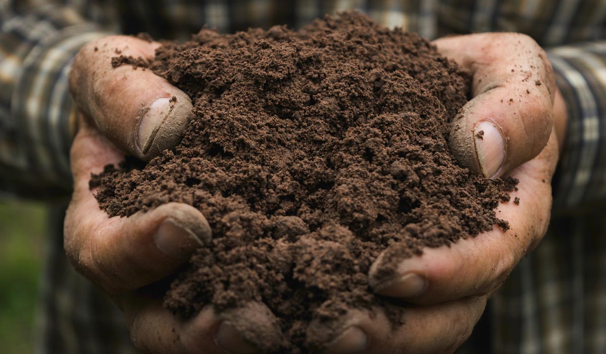 Organic Soil Initiatives Combat Climate Change